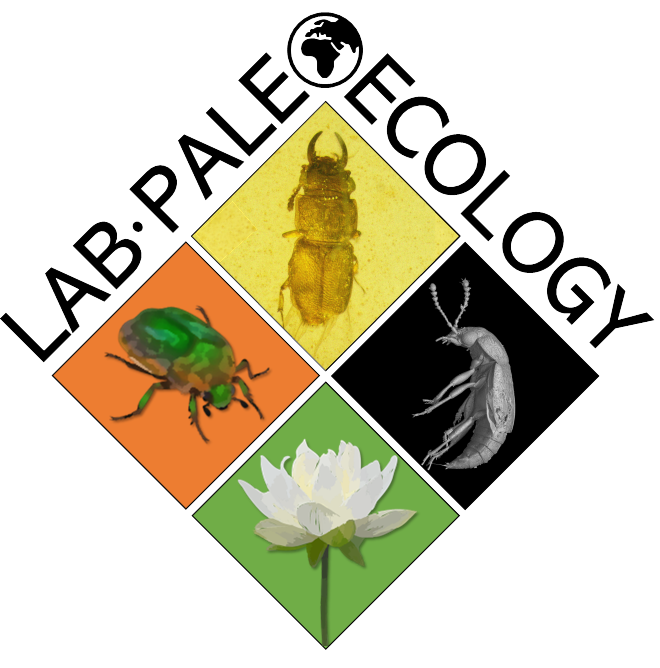 Lab Paleo Ecology Logo